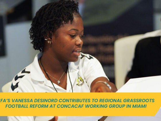 Desinord leads a discussion as part of a collaborative group tasked with analyzing and rewriting grassroots development criteria.